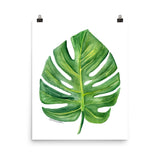 Monstera Leaf Watercolor