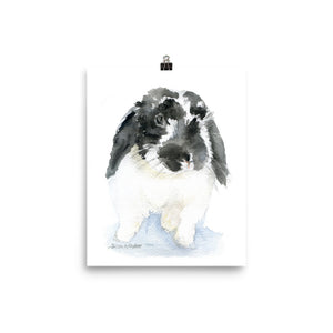 Black and White Lop Bunny Rabbit Watercolor