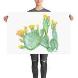 Prickly Pear Cactus Watercolor