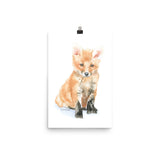 Baby Fox Watercolor