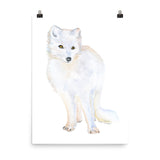Arctic Fox Watercolor