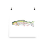 Rainbow Trout Watercolor