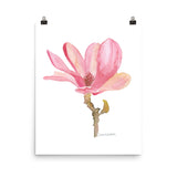 Pink Magnolia Flower Watercolor