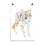 Coyote Watercolor Print