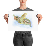 Sea Turtle Watercolor