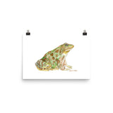 Leopard Frog Watercolor