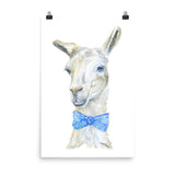 Llama with a Tie Watercolor