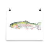 Rainbow Trout Watercolor