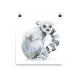 Ring-Tailed Lemur Watercolor Print