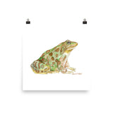 Leopard Frog Watercolor