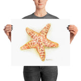 Sea Star Starfish Watercolor