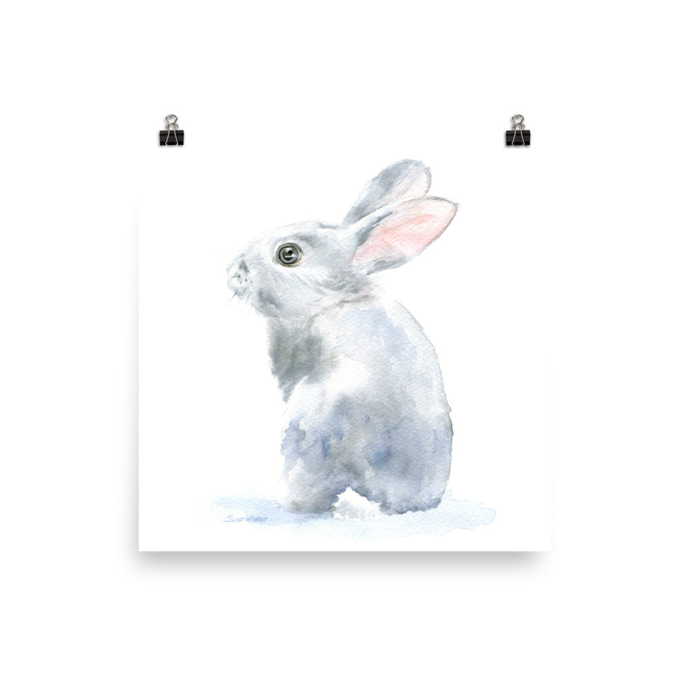 Gray Bunny Rabbit Watercolor – Susan Windsor