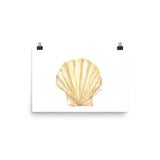 Clam Seashell Watercolor Print