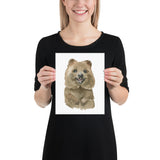 Quokka Watercolor Print - Australian Animals