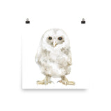 Tawny Owl Baby Watercolor