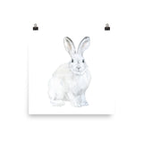 Arctic Rabbit Watercolor