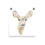 Doe Deer Watercolor