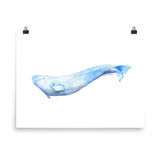 Beluga Whale Watercolor Print