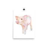 Pig 2 Watercolor