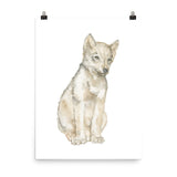 Gray Wolf Pup Watercolor Print