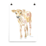 Jersey Calf Watercolor - Baby Cow