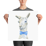 Llama with a Tie Watercolor