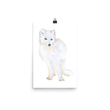 Arctic Fox Watercolor