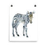 Baby Zebra Watercolor Print