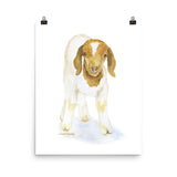 Goat Watercolor