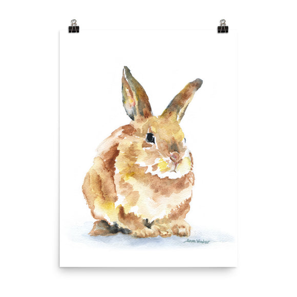 Bunny Rabbit Watercolor