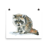 Raccoon Watercolor