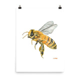 Honey Bee Watercolor