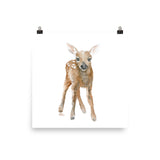 Deer Fawn 3 Watercolor