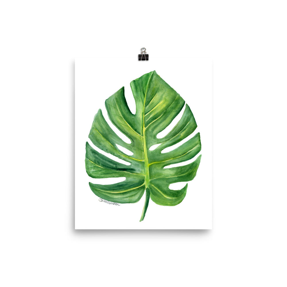 print monstera Monstera Leaf Watercolor – Susan Windsor