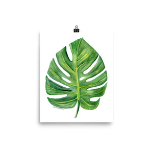 Monstera Leaf Watercolor