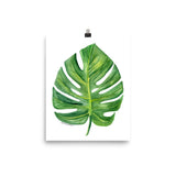 Monstera Leaf Watercolor