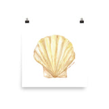 Clam Seashell Watercolor Print