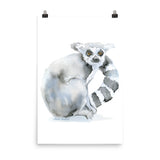 Ring-Tailed Lemur Watercolor Print