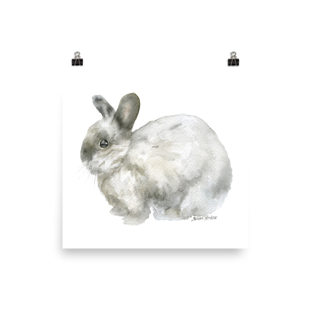 Gray Bunny Rabbit Watercolor 2 – Susan Windsor