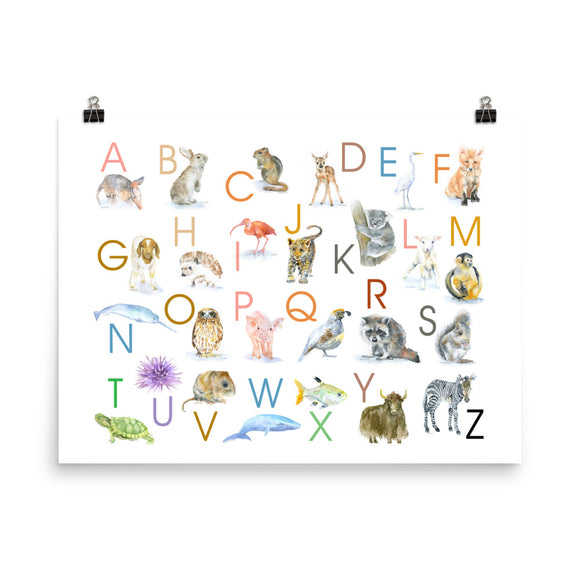 Animal Alphabet Poster Watercolor - Horizontal