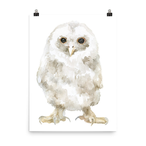 Tawny Owl Baby Watercolor