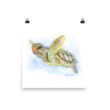 Sea Turtle Watercolor
