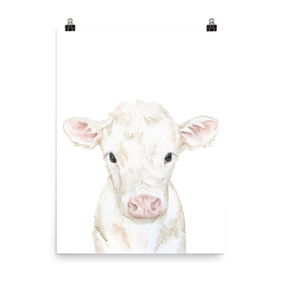 White Calf Watercolor Cow