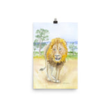 Lion in Africa Watercolor