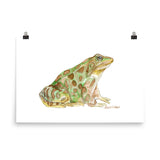 Leopard Frog Watercolor