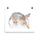 Armadillo Watercolor Print