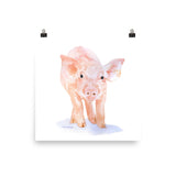 Pig Watercolor