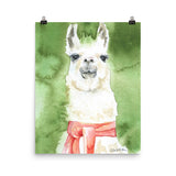 Llama with a Red Scarf Watercolor Print