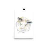 Fluffy Bunny Baby Watercolor