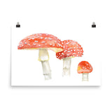 Toadstools Watercolor